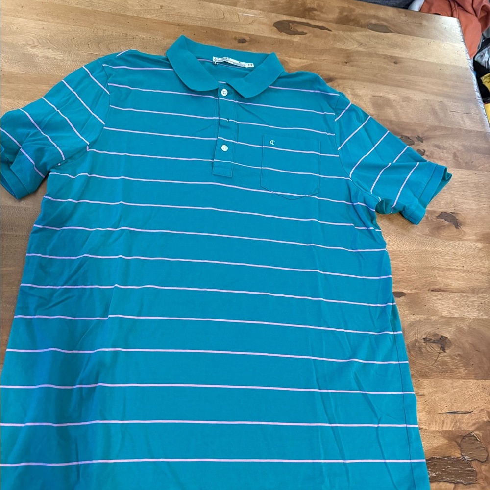 Criquet Turquoise and White Striped Polo Shirt